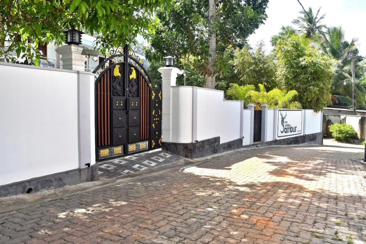Villa De White Sambur Хикадува Екстериор снимка